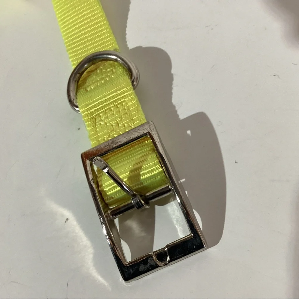 Dog collar, bright yellow, 24” x 1”, heavy nylon, metal hardware. Adjustable
